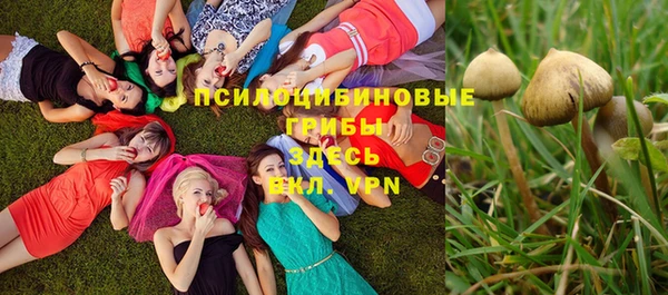 дмт Балашиха