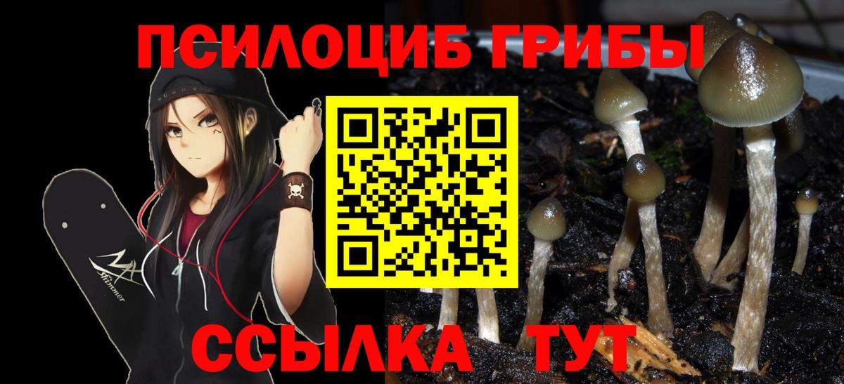 Псилоцибиновые грибы ЛСД  Бийск 