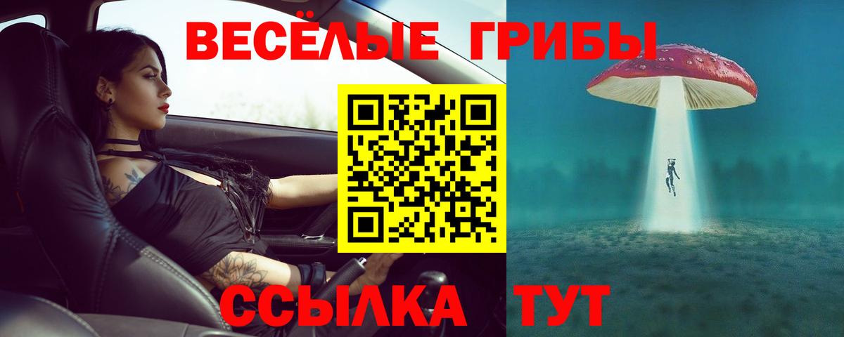 Бийск  Псилоцибиновые грибы Magic Shrooms  Вход с VPN 